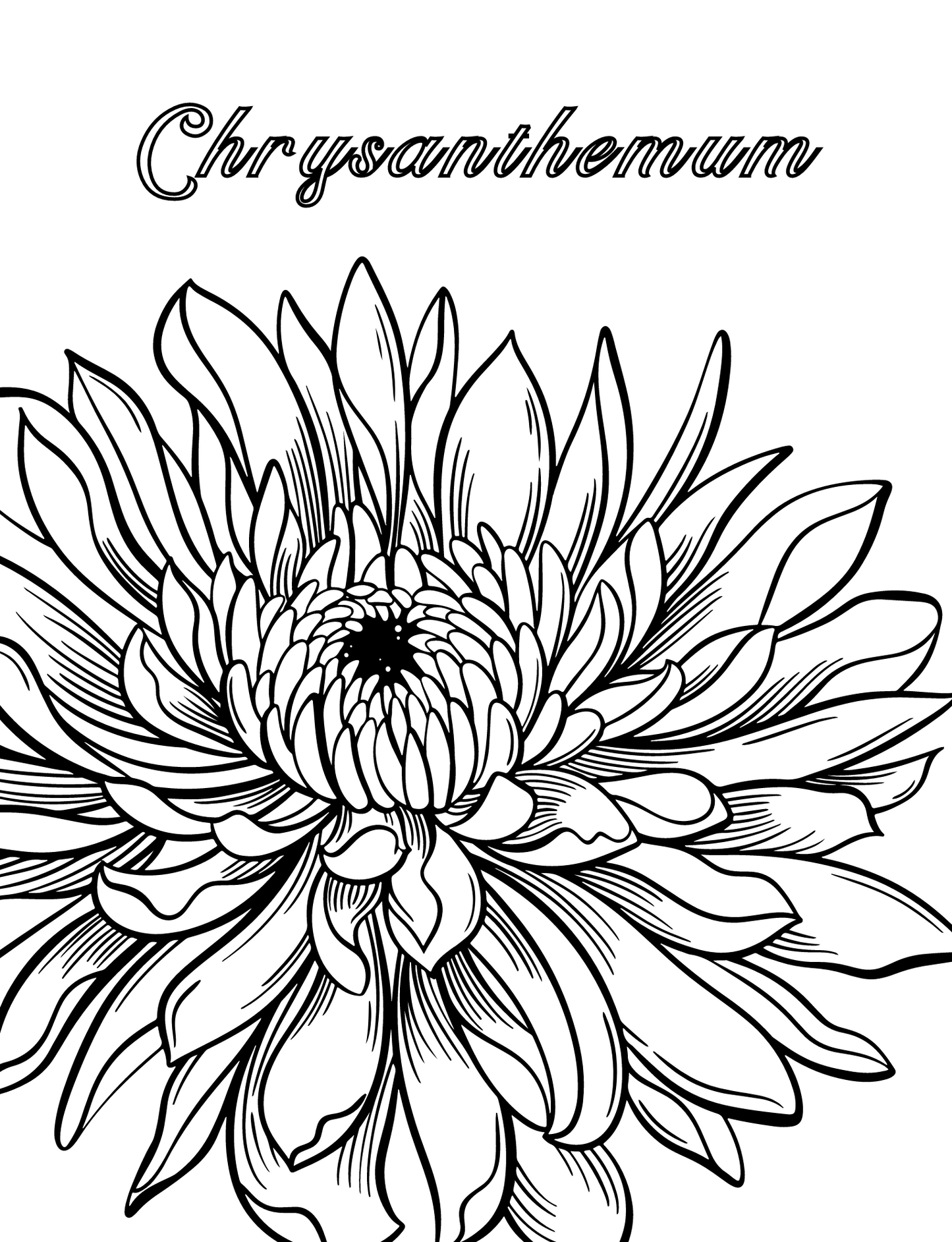 Herbal Alchemist - Coloring book