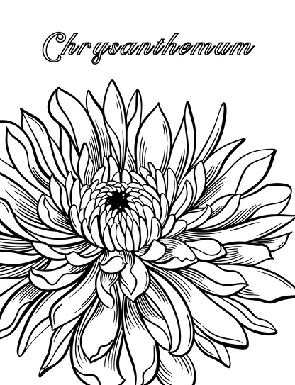 Herbal Alchemist - Coloring book