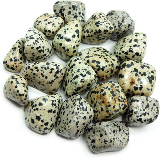 Dalmatian Jasper