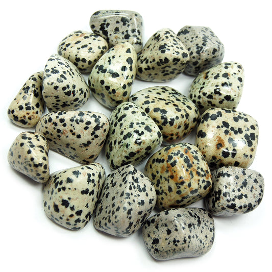 Dalmatian Jasper