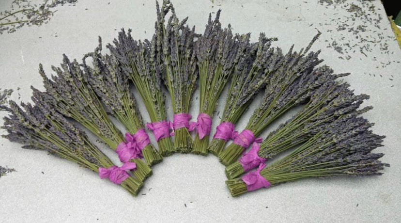 Lavender Bundles